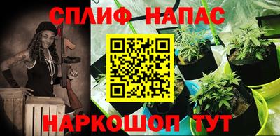мяу мяу мука Малгобек