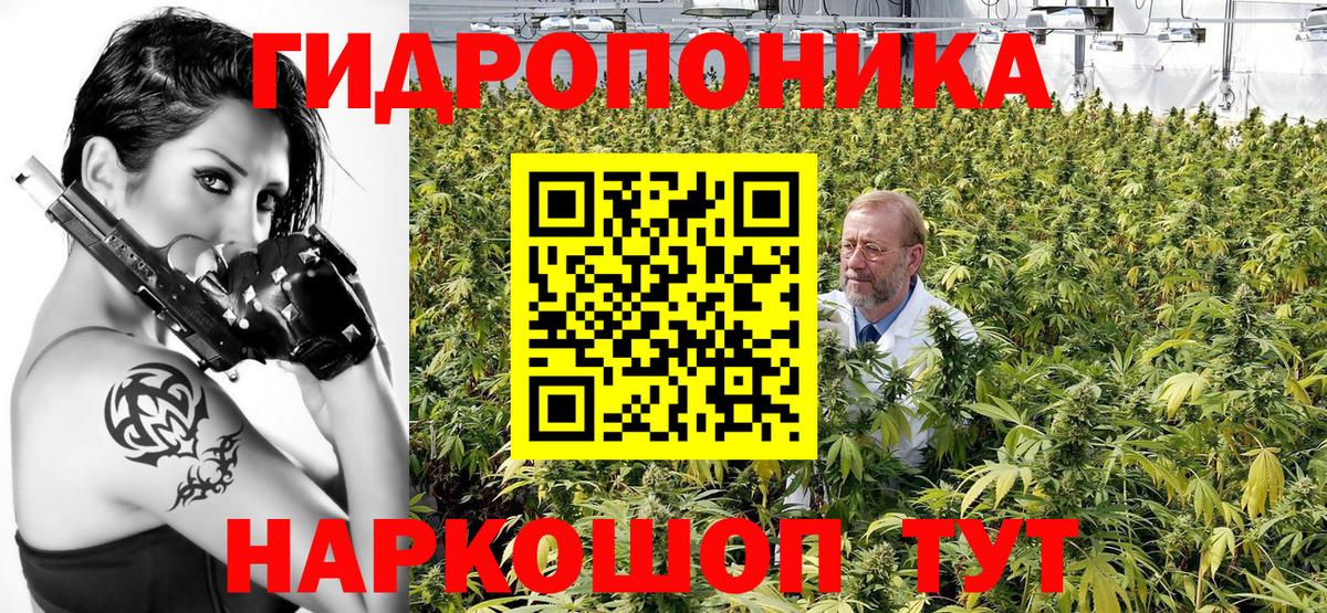 Горно-Алтайск  Конопля MAZAR  Шишки марихуана сатива  Вход с VPN  Канабис Amnesia  Марихуана индика 